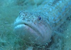 IMG 4799