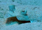 IMG 4828
