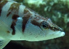 IMG 4883