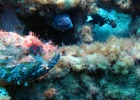 IMG 4927