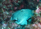IMG 5051